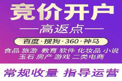 SEM代理助力企业：成功案例分析